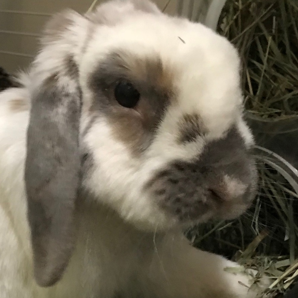 Meet your Posher, Jamie